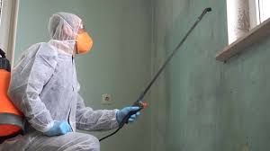 Why You Should Choose Our Mold Remediation Services in Bradford, TN