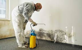 Mold Remediation for Rental Properties in Bradford, TN